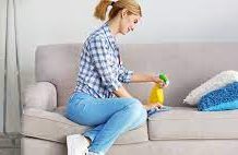 Brilliant Ideas To Clean A Fabric Sofa