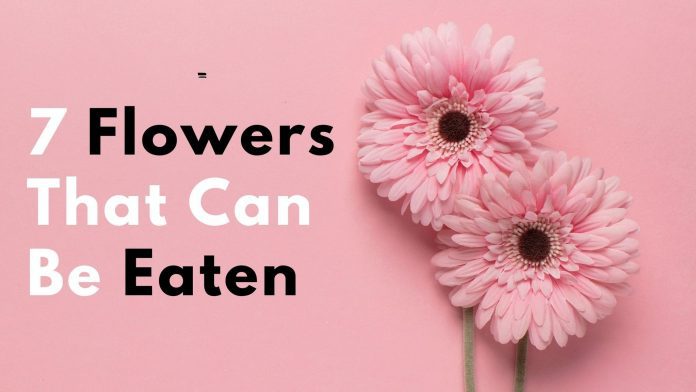 Flowers That Can Be Eaten